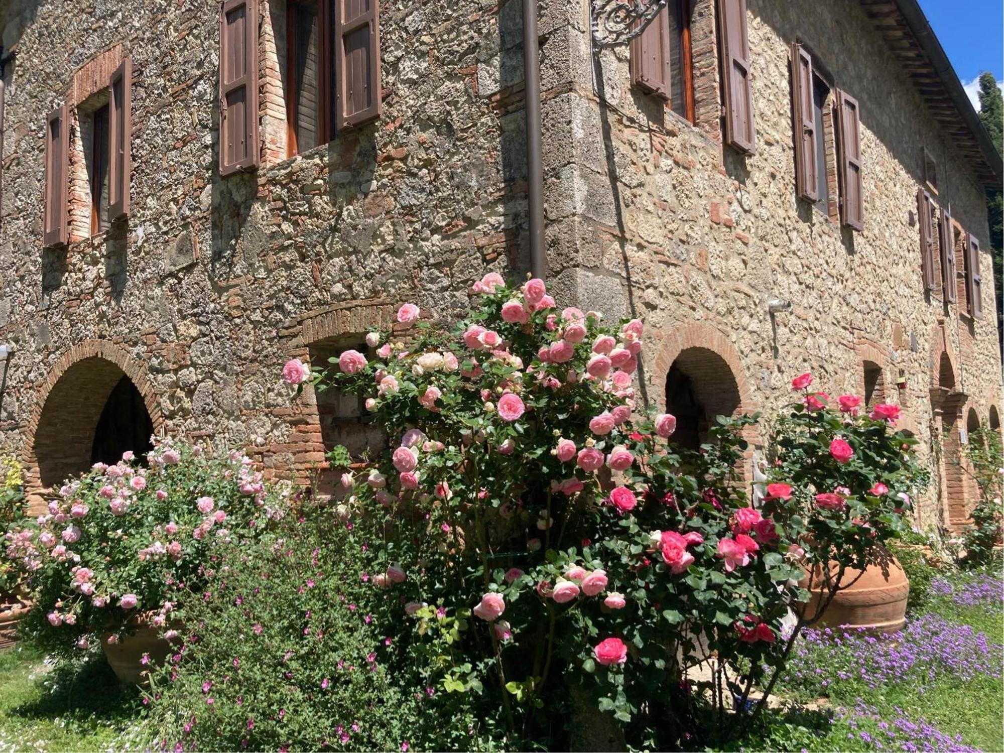 Agriturismo Il Caio Cetona Buitenkant foto