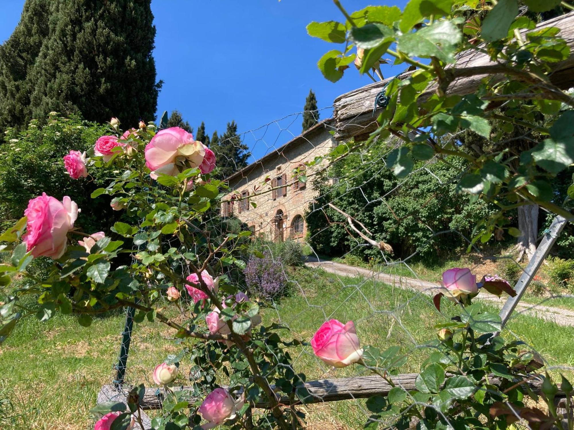 Agriturismo Il Caio Cetona Buitenkant foto