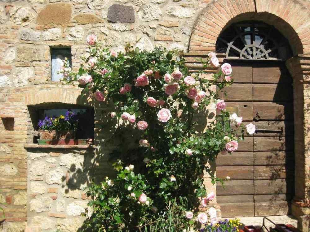 Agriturismo Il Caio Cetona Buitenkant foto